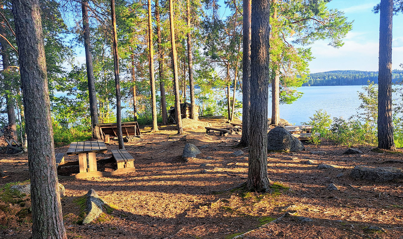 A seating area among pines on the island, with the lake in the background.
