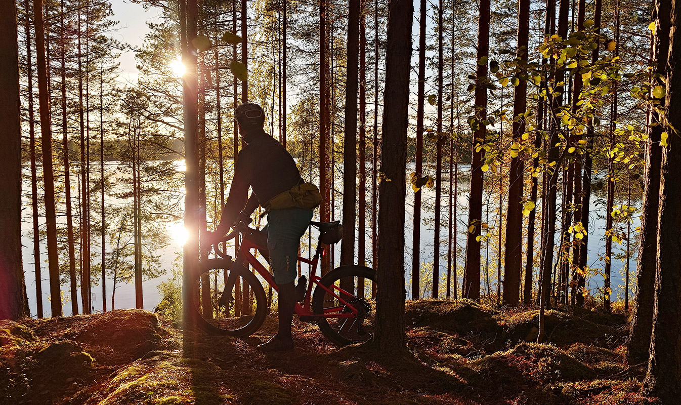 Cyclist in a forest by a lakeshore; the sun sets and reflects through the trees onto the lake.