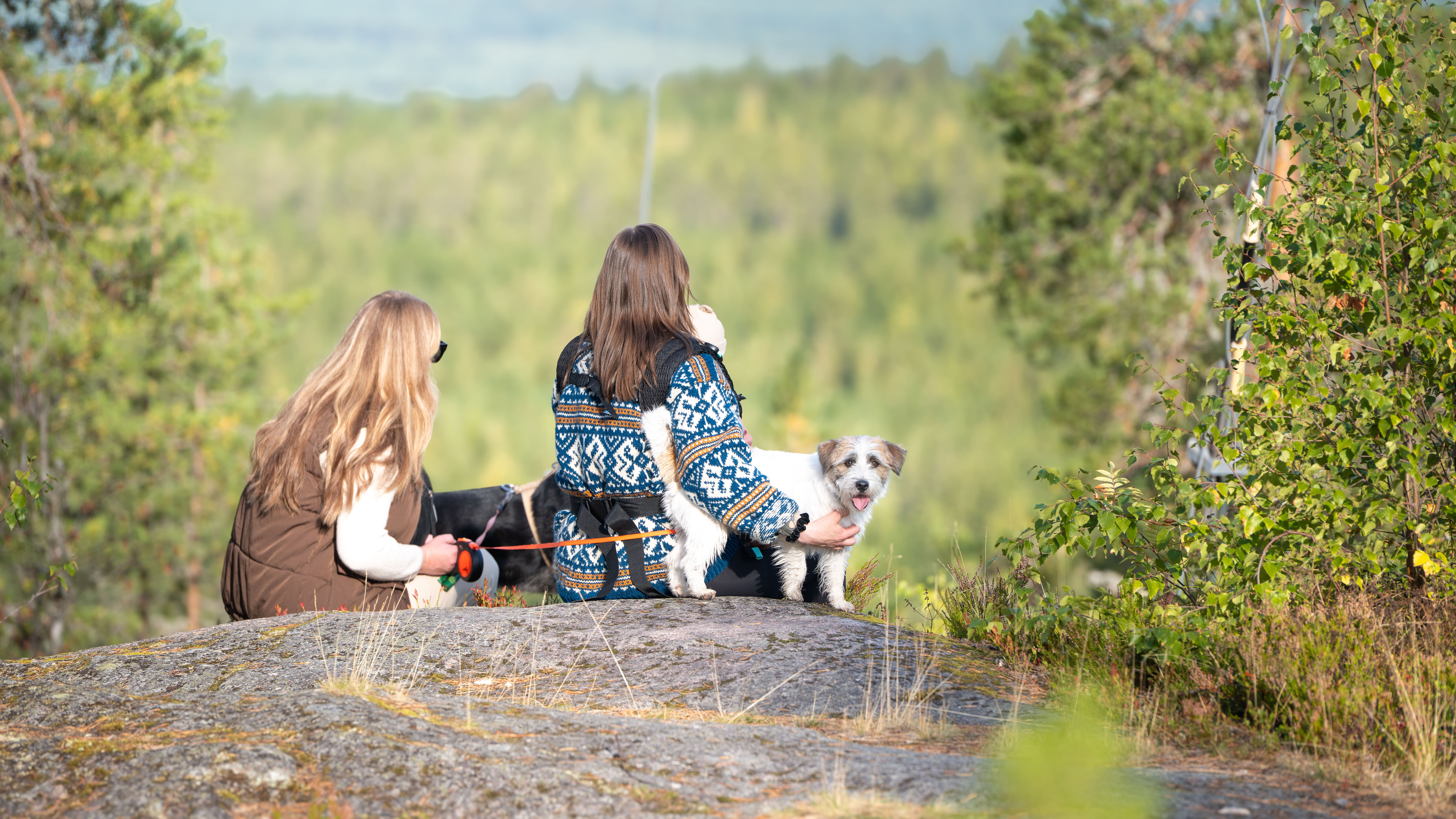Two people sit on a rock at the summit of Tärttävuori with a dog.