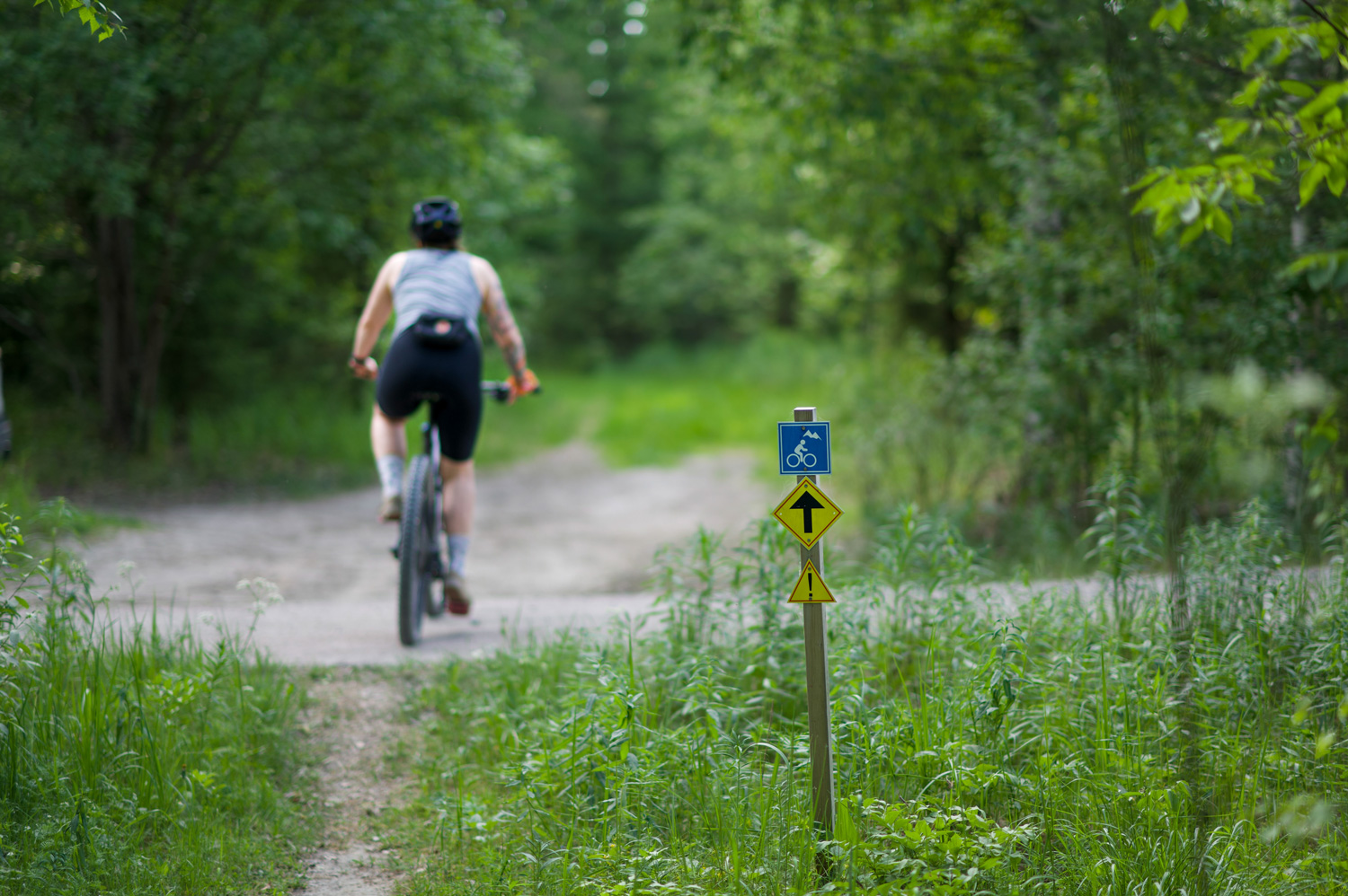 A cyclist on a marked mountain bike trail.