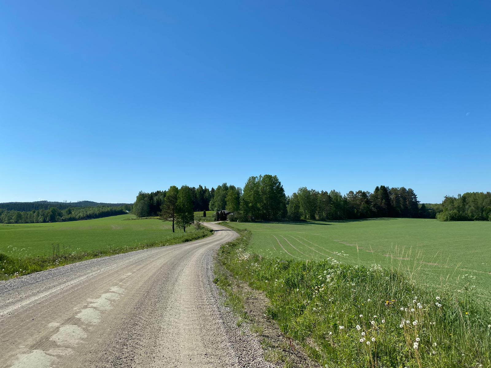 Wonderful summer view of Honkola