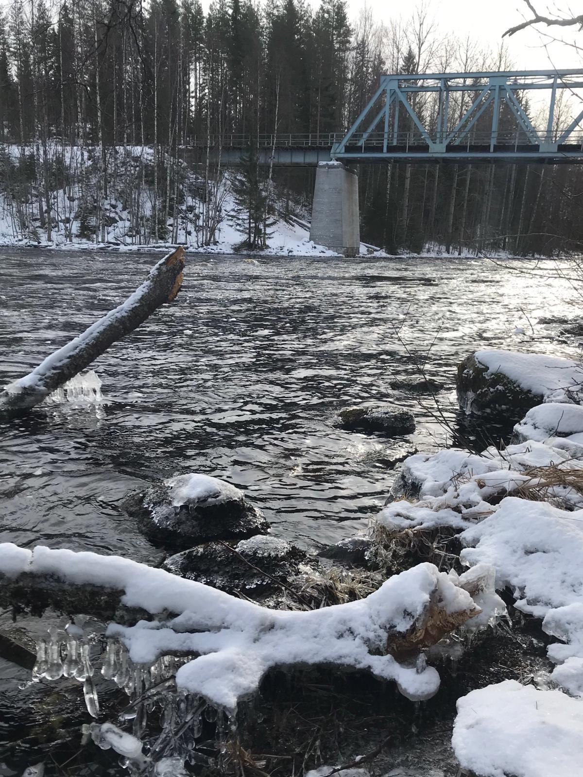 The railway bridge crossing Naarakoski. Photo: Anniina