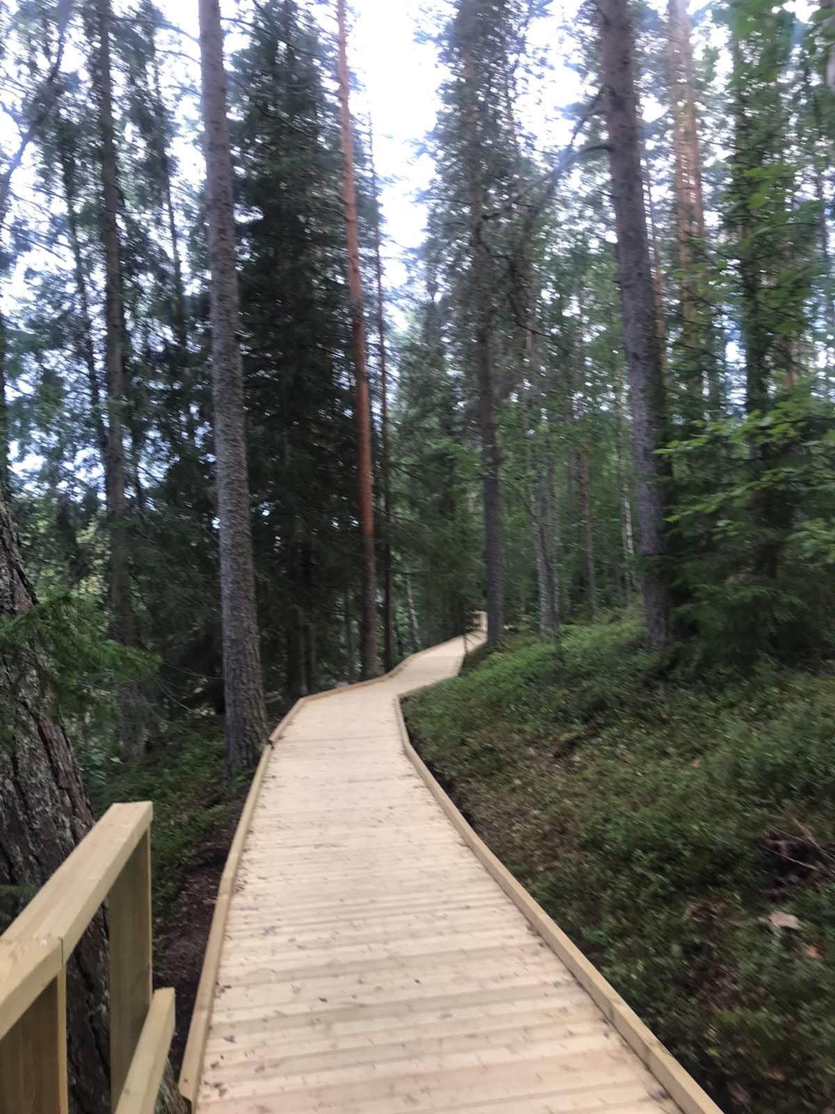 On part of the route there is a new  boardwalk that makes it easier to pass. Photo: Anniina