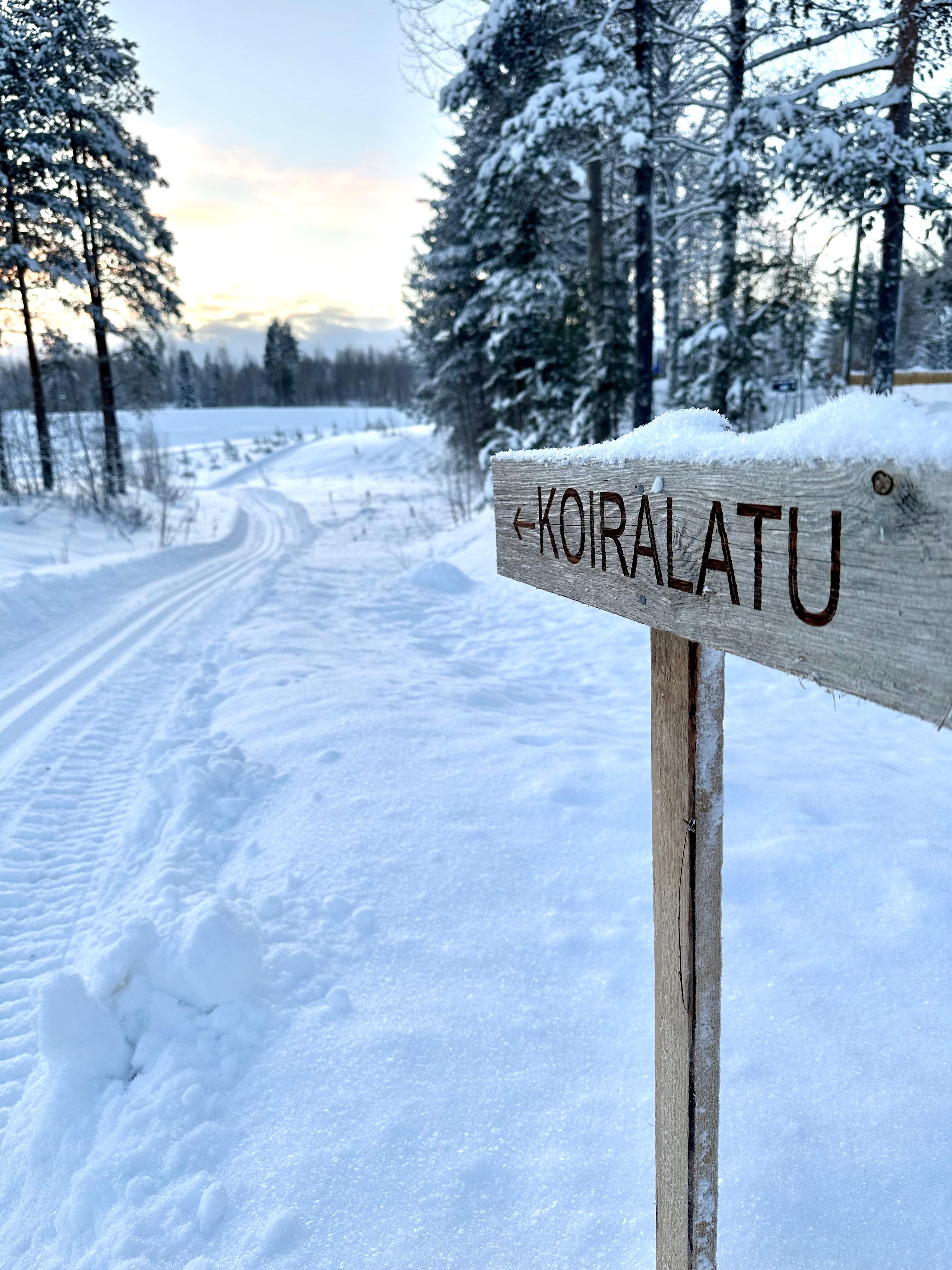 Dog trail and sign