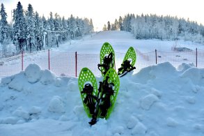 Snowshoes at Äänemäki.