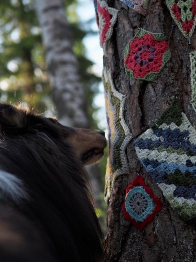 A dog examining yarn graffiti