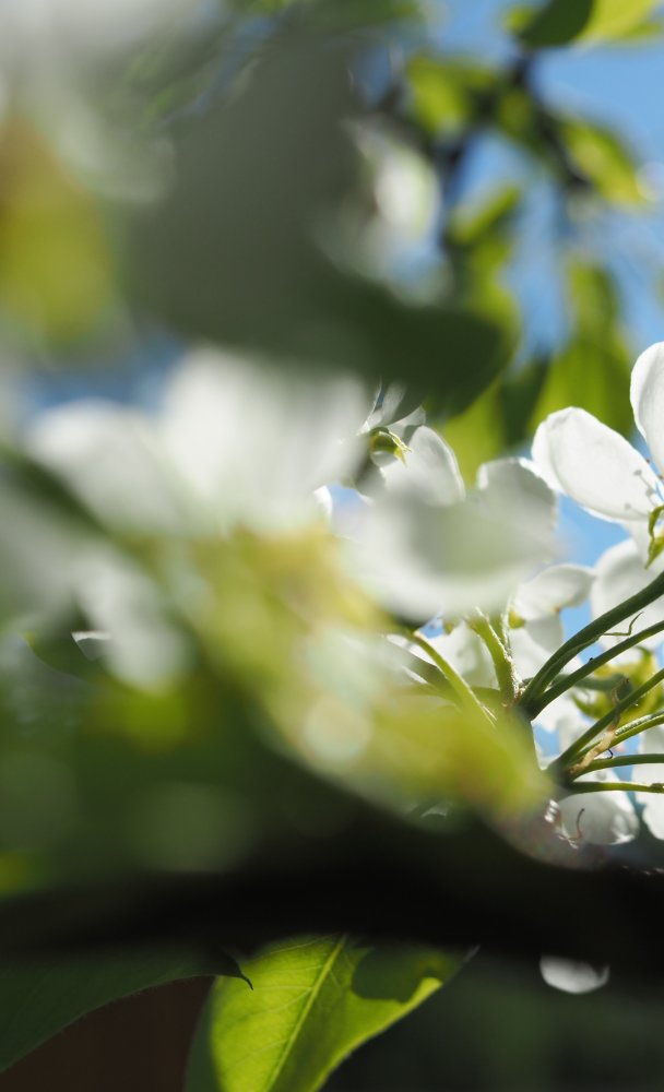 Spend an Unforgettable Summer in Äänekoski!